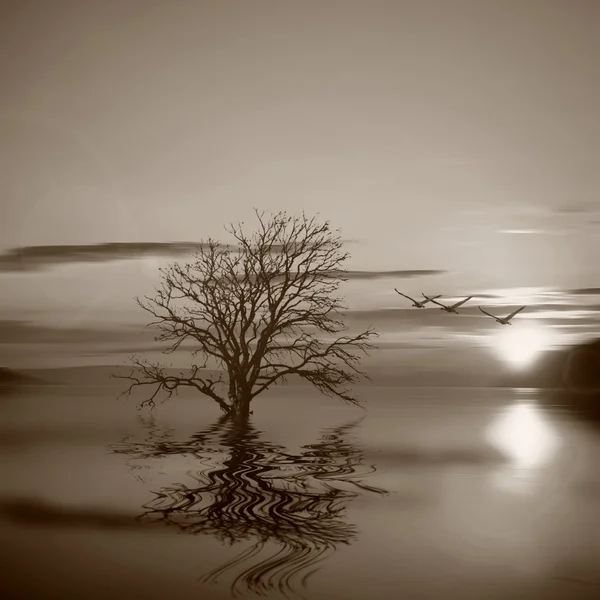 Bellissimo paesaggio seppia — Foto Stock