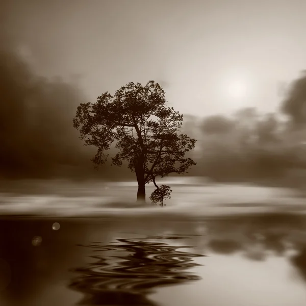 Bela paisagem sépia — Fotografia de Stock