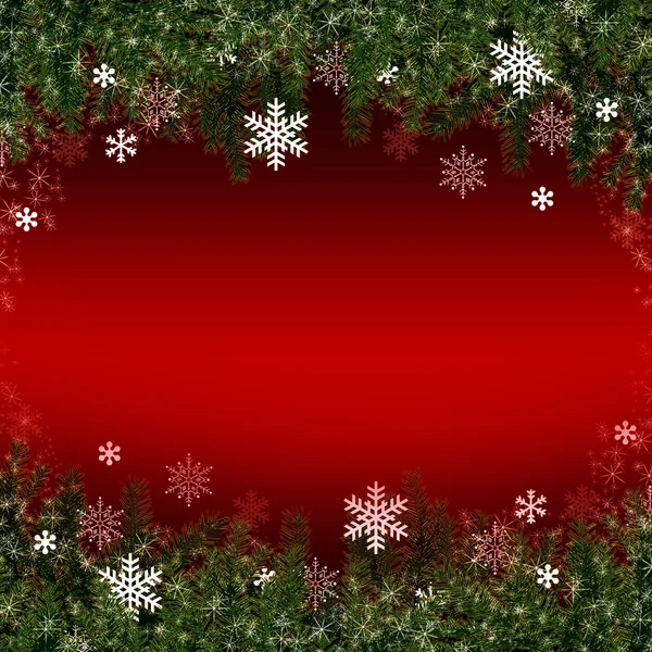 Carte de Noël avec des branches de sapin — 스톡 사진