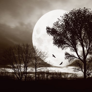 güzel sepya manzara