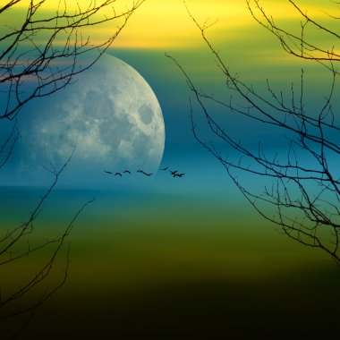 Güzel doymuş manzara