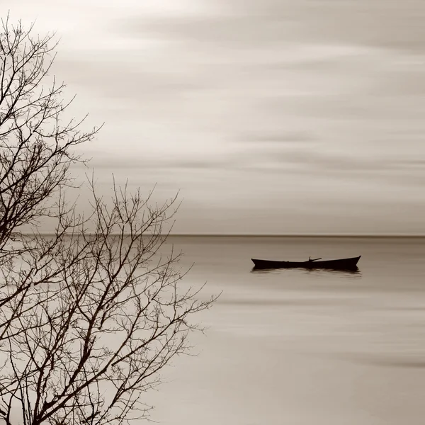 Bellissimo paesaggio seppia — Foto Stock