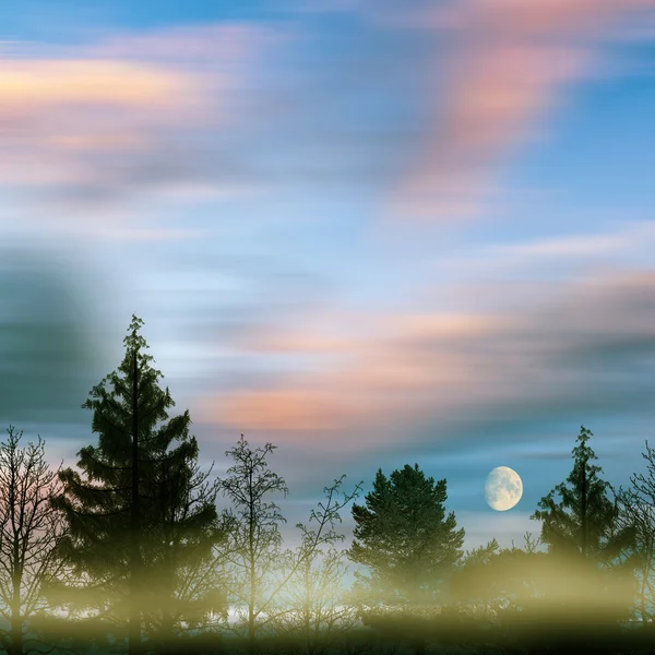 Schöne gesättigte Landschaft — Stockfoto