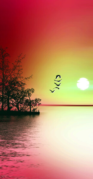 beautiful colorful landscape