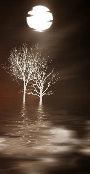 Beautiful sepia landscape — Stock Photo, Image