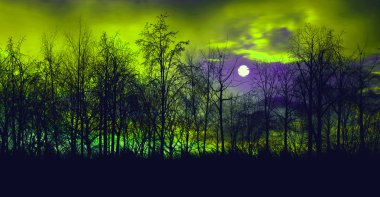 güzel renkli manzara