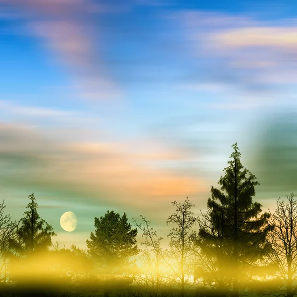 Schöne bunte Landschaft — Stockfoto