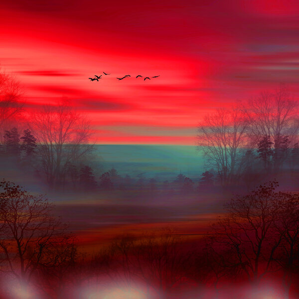 Beautiful colorful landscape — Stock Photo, Image
