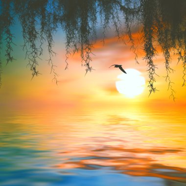 Güzel doğal manzara