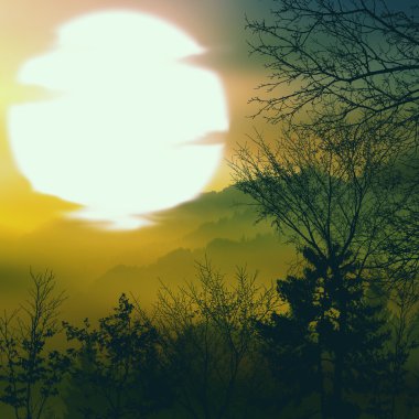 Güzel doğal manzara