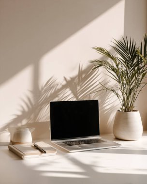 A laptop rests on a desk beside a notebook and a plant, with sunlight casting shadows.