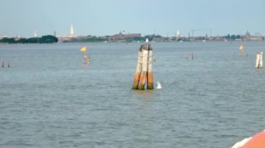 Venedik, Venedik, İtalya 'daki bir tekneden çekilen martı, yön bulma direğinde oturuyor.