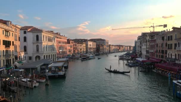 Venice Július 2018 Széles Kilátás Rialto Híd Mentén Grand Canal — Stock videók