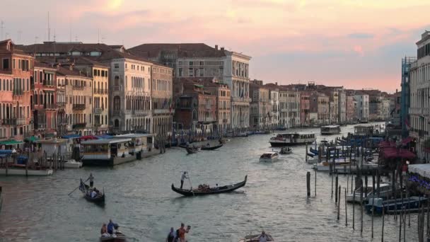 Venice Heinäkuu 2018 View Rialto Bridge Grand Canal Venice Italy — kuvapankkivideo