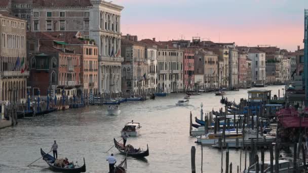 Venice Června 2018 Zvětšený Pohled Mostu Rialto Podél Velkého Kanálu — Stock video