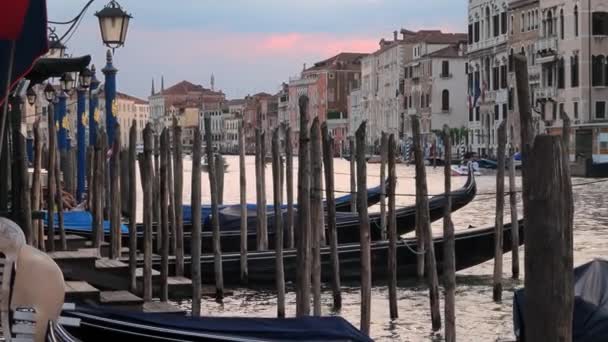 Venice Juli 2018 Gondola Förtöjningsplatser Vid Canal Grande Venedig Italien — Stockvideo