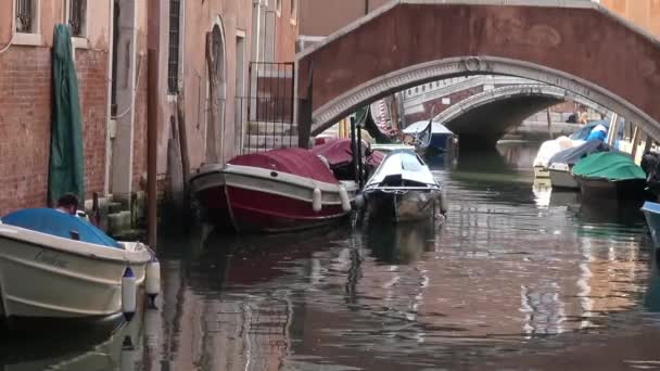 2018 이탈리아 베네치아의 운하를 늘어선 모터보트가 따뜻하고 날에는 그늘진 운하를 — 비디오
