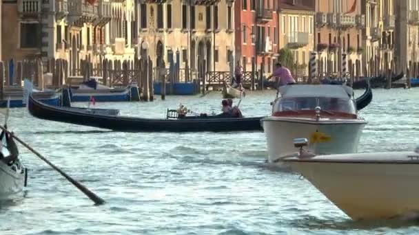 Venecia Julio 2018 Motoras Góndolas Maniobrando Gran Canal Venecia Italia — Vídeos de Stock