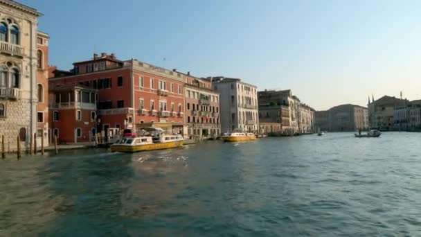 Venice Června 2018 Letištní Vodní Autobusy Jedoucího Člunu Grand Canal — Stock video