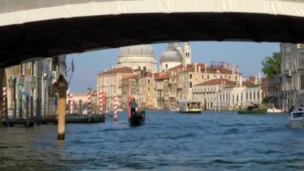 Venice Julho 2018 Uma Gôndola Passando Por Baixo Ponte Dell — Vídeo de Stock