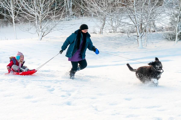 Чорний Собака Веде Матір Дочкою Катається Глибокому Снігу Сільській Місцевості — стокове фото