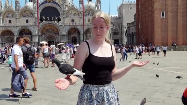 Venice July 2018 Young Woman Poses Pigeon Her Arm Marks — Stockvideo