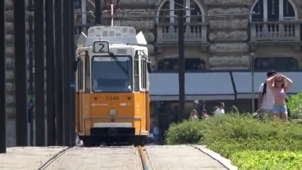 Budapest Août 2018 Tramway Déplace Loin Caméra Travers Brume Chaleur — Video