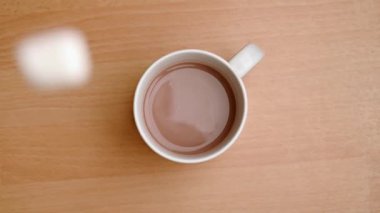 Şekerlemeler bir fincan sıcak çikolatanın içine düşerken yukarıdan aşağıya doğru yavaşça hareket et..