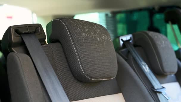 Διάλυμα Καθαρισμού Ψεκάζεται Μούχλα Κάθισμα Αυτοκινήτου Που Έχει Μείνει Αχρησιμοποίητο — Αρχείο Βίντεο
