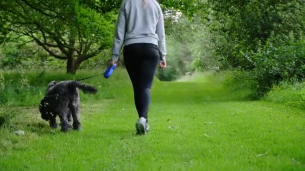 Uma Fêmea Loira Caminha Grande Cão Labradoodle Preto Desgrenhado Longo — Vídeo de Stock