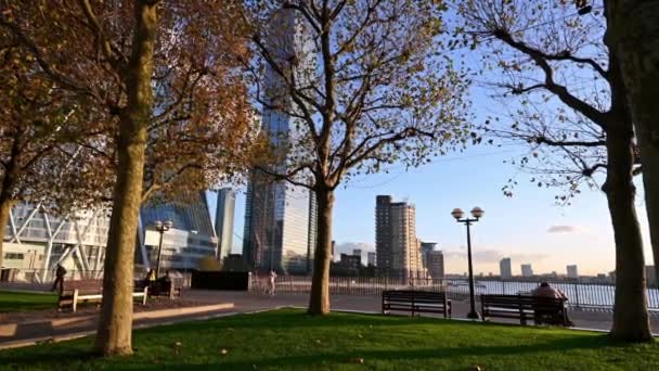 Londen November 2020 Canary Wharf Wolkenkrabbers Door Bomen Badend Gouden — Stockvideo