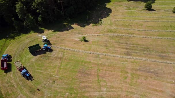 Letecký Bezpilotní Snímek Sběrače Pícnin Traktorů Sbírajících Travní Odřezky Pole — Stock video