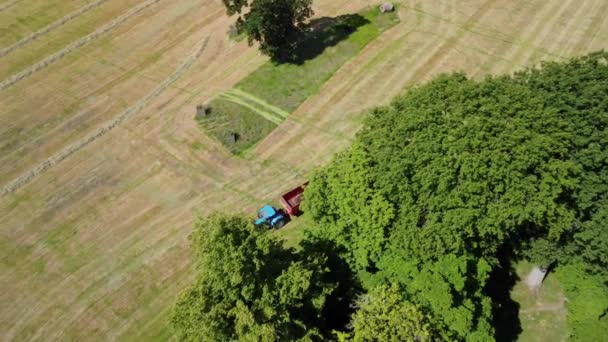 Drone Aéreo Disparado Como Trator Puxando Reboque Através Campo Aparece — Vídeo de Stock