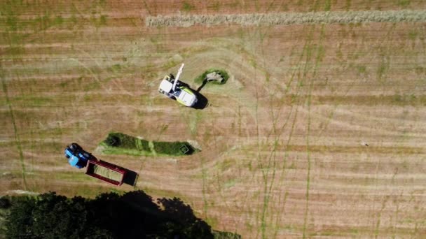 Zdjęcie Lotnicze Drona Kombajnu Paszowego Ciągnika Ciągnącego Przyczepę Pozycji Gotowej — Wideo stockowe