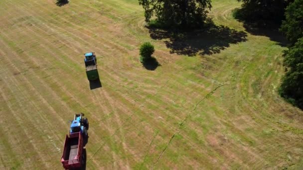 Aerial Drone Shot Two Tractors Pulling Empty Trailers Field — Stock Video