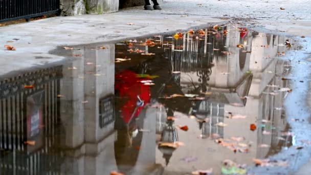 London November 2020 Reflektion Pöl Marken Monterad Soldat Hushållskavalleriet Stående — Stockvideo