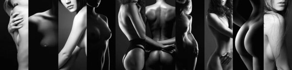 black and white collage of beautiful naked women. beautiful nude girls body silhouettes
