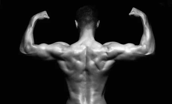 健美运动员男性后背 裸体肌肉男人 体育健身馆概念 免版税图库图片