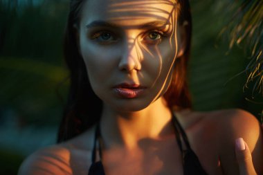 Gün batımında güzel bir yaz kızı. Palmiye ağacının altında bikinili seksi bir kadın. Güzellik Portresi
