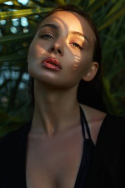 Gün batımında güzel bir yaz kızı. Palmiye ağacının altında bikinili seksi bir kadın. Güzellik Portresi