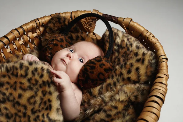 生まれたばかりの赤ちゃん、basket.funny の小さな子 — ストック写真