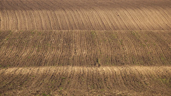 Plowed jordbruksmark på våren — Stockfoto