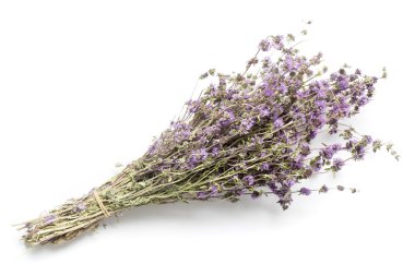 Mentha Pulegium Birkaç Dallar