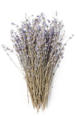 Bir demet kurutulmuş lavanta.