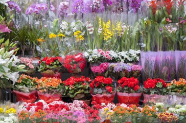 Flower Shop With Full Shelves
