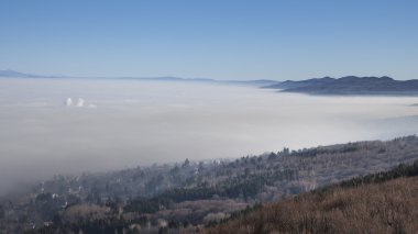 Bir sis altında büyük şehir