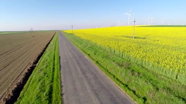 Sobre o campo — Vídeo de Stock