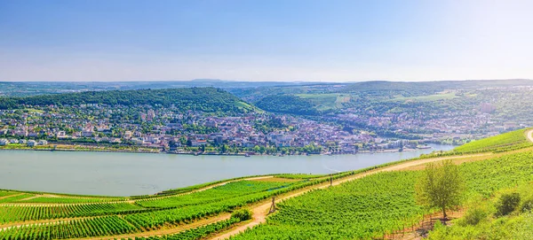Letecký Panoramatický Výhled Řeku Rýnský Průsmyk Nebo Horní Středomořský Vinařský — Stock fotografie
