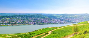 Aerial panoramic view of river Rhine Gorge or Upper Middle Rhine Valley clipart