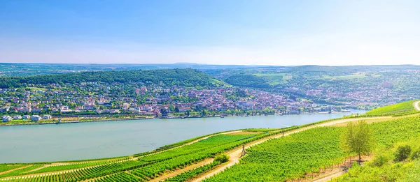 Воздушный панорамный вид на Рейнское ущелье или Верхнюю долину Среднего Рейна — стоковое фото